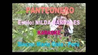 PANTEONERO karaoke huayno NILDA BARDALES [upl. by Egiarc689]