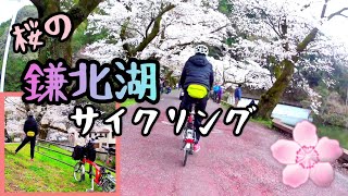 桜舞う鎌北湖サイクリング2024年自転車奥武蔵グリーンライン里山 [upl. by Bak]