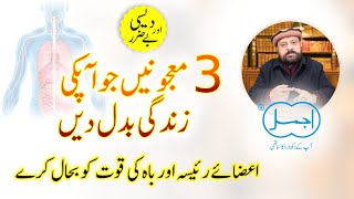 3 Majonain Jo Apki Zindgi Badal Den  General Tonic  Male Health Boost [upl. by Redvers]