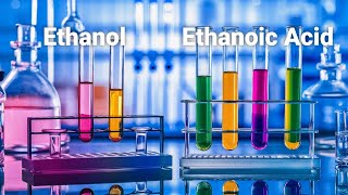 How Can Ethanol and Ethanoic Acid Be Differentiated on Physical and Chemical Properties [upl. by Lichtenfeld34]