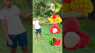 Rounding Cut Green coconut to Grapes Mango lichi amp Watermelon  Fruits names magic video [upl. by Barbara]