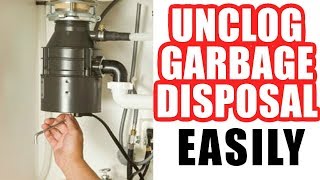 How to Unclog a Garbage Disposal Easy Step by Step [upl. by Gibb]