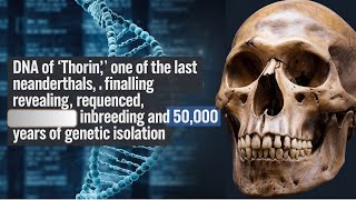 Thorin’s DNA Revealing the Secrets of One of the Last Neanderthals [upl. by Eybbob24]