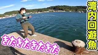 島のおじさんが「昼からも喰うぞ」めっちゃ釣れてる！！！！【離島生活】 [upl. by Edgerton]