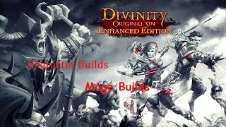 Divinity Original Sin Enhanced Edition  Character Builds Mages [upl. by Kurt]