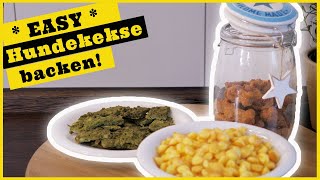 Hundekekse selber machen I 3 einfache Rezepte für Hundekekse ohne Getreide [upl. by Sell]