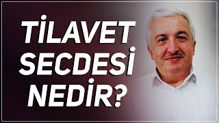 Tilavet Secdesi Nedir ProfDr Mehmet Okuyan [upl. by Gilda]