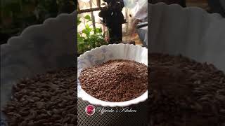 जवस आळशी  Flax Seeds [upl. by Rezal]