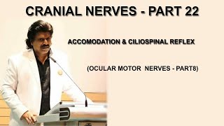 CRANIAL NERVES  PART 22 ACCOMODATION amp CILIOSPINAL REFLEX OCULAR MOTOR NERVES  PART 8 [upl. by Bramwell]