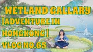 WETLAND GALLARY Adventure in Hongkong  Vlog no 65 [upl. by Leimaj]