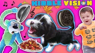 OUR PUPPY DOG TALKING ABOUT FOOD  FUNnel Vis OREO Songs Compilation Vlog  Climbing Wall T [upl. by Ariada622]