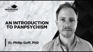 Panpsychism Is Everything Conscious  Dr Philip Goff PhD [upl. by Lissi354]