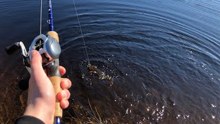 LURE FISHING FOR BROWN TROUT IN SCOTLAND [upl. by Banna]