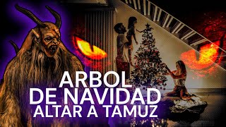 El oscuro origen del Árbol de Navidad 🎄😨 [upl. by Kester]