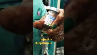 injection streptomycin in intramasular medicalprofession ytstudieo [upl. by Ephrem]