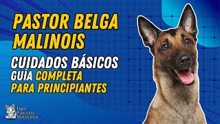 CUIDADOS BÁSICOS DEL PASTOR BELGA MALINOIS [upl. by Bordy]