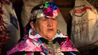 MAPUCHE DUNGUN  La Palabra María Teresa Panchillo  poeta mapuche [upl. by Caitrin]