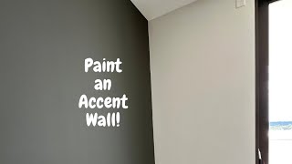 How to Paint a Straight Line in Accent Wall Inside Corners  Spencer Colgan [upl. by Aryam]