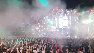 LiveVVIP 라운지 뷰 Alan walker  The Spectre  World DJ Festival Korea 2017  알렌워커 Spectre 월디페 2017 [upl. by Mcwilliams]