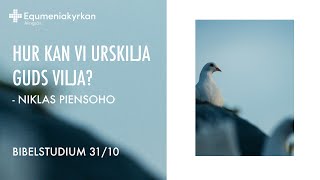 241031  Hur kan vi urskilja Guds vilja  Niklas Piensoho [upl. by Enomys]