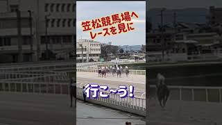 笠松競馬レースを見に行こう 11月19日イベント戸崎騎手が来るよ😄 [upl. by Bil]