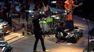 The Flaming Lips and the Colorado Symphony Perform The Soft Bulletin 2019 [upl. by Lundell]