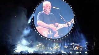 David Gilmour Nîmes 2016  Wish You Were Here Pink Floyd [upl. by Aicetel538]