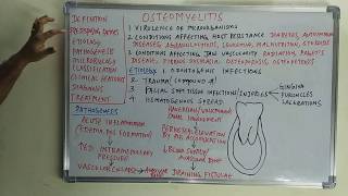 Osteomyelitis  etiopathogenesis and classification [upl. by Bay558]