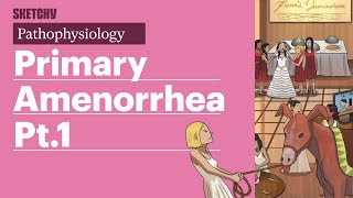 Amenorrhea Pathophysiology Part 1  Sketchy Medical  USMLE Step 1 [upl. by Speroni]