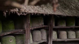 Historische Häuser und Landschaften im Freilichtmuseum am Kiekeberg [upl. by Cuyler]