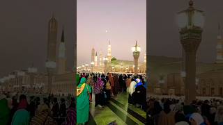 Laelahaviralvideo islamic trendingshorts shortvideo [upl. by Zadack]