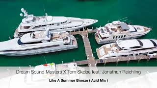 Dream Sound Masters amp Tom Skobe feat Jonathan Reichling  Like a Summer Breeze Official Video [upl. by Castora]