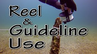 Scuba Diving Skills  Reel and Guideline Use [upl. by Ahtaela]