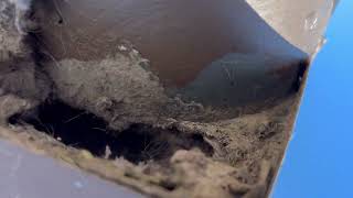 Dryer Vent Cleaning Tutorial diy guttercleaning pressurewashing roofcleaning dryerventcleaning [upl. by Alisha]