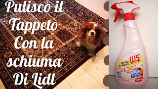 Come pulire il tappeto con schiuma detergente w5 [upl. by Ssew]