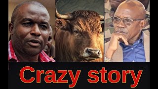 Bizarre tale of Khalwales raging bull and Kakamega habits and drama  Kenya news [upl. by Worra]