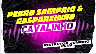 Cavalinho  Pedro Sampaio Gasparzinho Aula de Dança [upl. by Bernita]