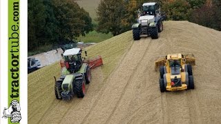 Mais 2013 Silage für 1000 Kühe und BGA in NRW  maize harvest  Terhuf Agrarservice [upl. by Eigna]