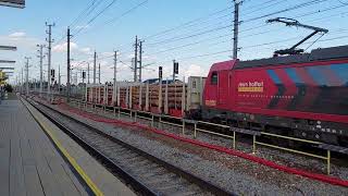 Sichtung aus Marchtrenk Railpool Stern und Hafferl 187 3330 mit einem Holzwagen Richtung Salzburg [upl. by Sicnarf406]