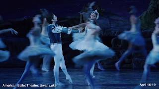 ABT quotSwan Lakequot 15sec preview [upl. by Ecenahs]