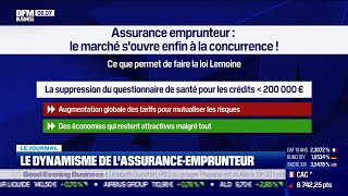 Le dynamisme de lassurance emprunteur [upl. by Ybbil]