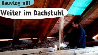 Drempel bauen  Fundament gießen  Brombeeren  Bauvlog 81 [upl. by Kcirdneked74]