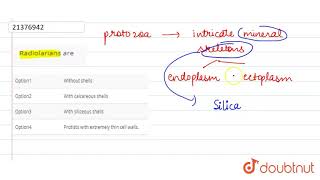 Radiolarians are [upl. by Teplica183]
