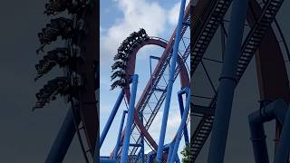 Banshee  Kings Island  Looping Over The Lift Hill  Roller Coaster  Inverted Coaster  BampM [upl. by Biamonte]