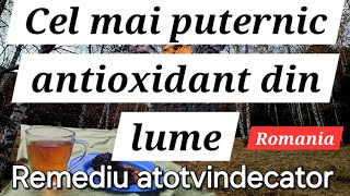 Cel mai puternic aliment antioxidant  atotvindecatorUnde se găsește Cum se folosește [upl. by Alexei]