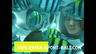 Bali Marine Walk Tour Water Sports Tanjung Benoa [upl. by Raven]