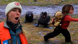 Fur Seals Chase After our Child Part 2 of 3  Travel to Antarctica with Young Kids [upl. by Leirraj586]