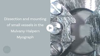 Dissection and mounting of small vessels in the MulvanyHalpern Myograph [upl. by Anialram]