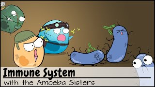 Immune System [upl. by Aliak126]