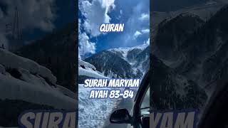 quranurdutranslation surahmaryam ayah8384 islamic youtube viralvideo shorts jannatulfirdaus [upl. by Enellij378]